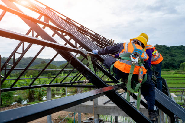 Best Roof Gutter Cleaning  in Taylorsville, KY