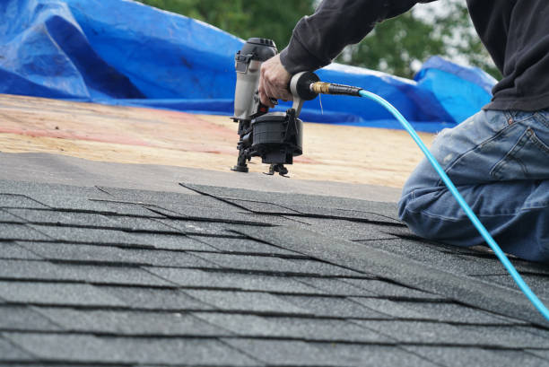 Best Storm Damage Roof Repair  in Taylorsville, KY